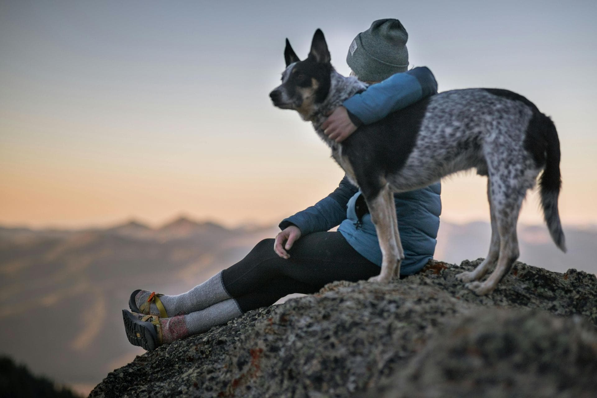 Specialist Vets in Kansas City